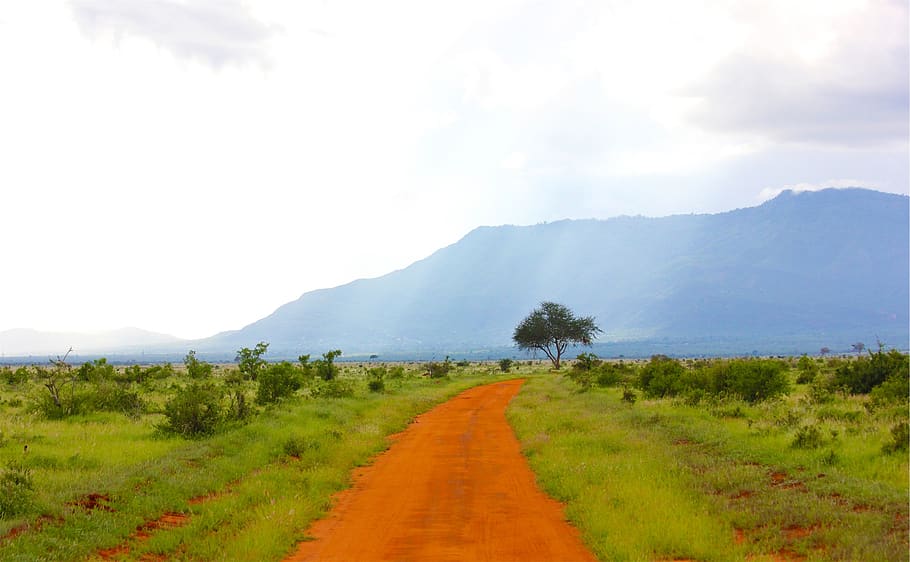 dirt, road, landscape, grass, mountains, trees, sky, plant HD wallpaper