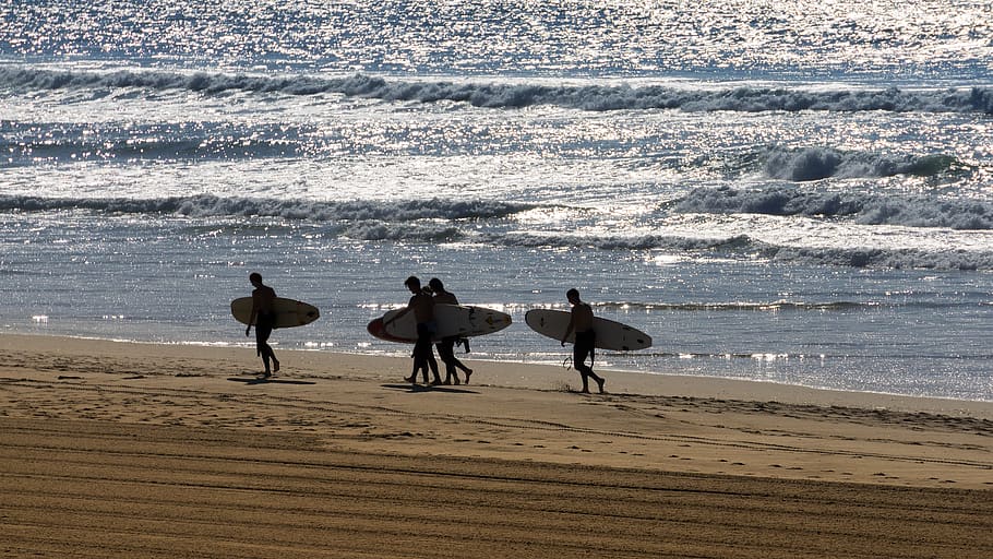 beach, sea, surf, coast, leisure, summer, sand, land, water HD wallpaper