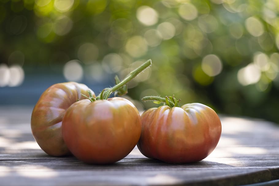 tomato, fruit, vegetable, garden, red, fresh, salad, raw, nature HD wallpaper