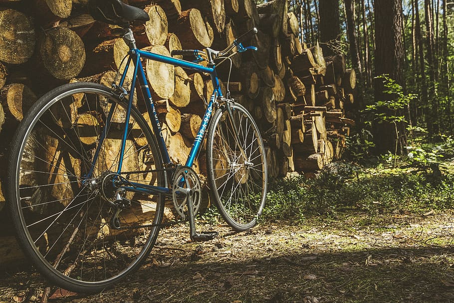 Blue Road Bike Leaning on Pile of Tree Trunks, bicycle, brakes