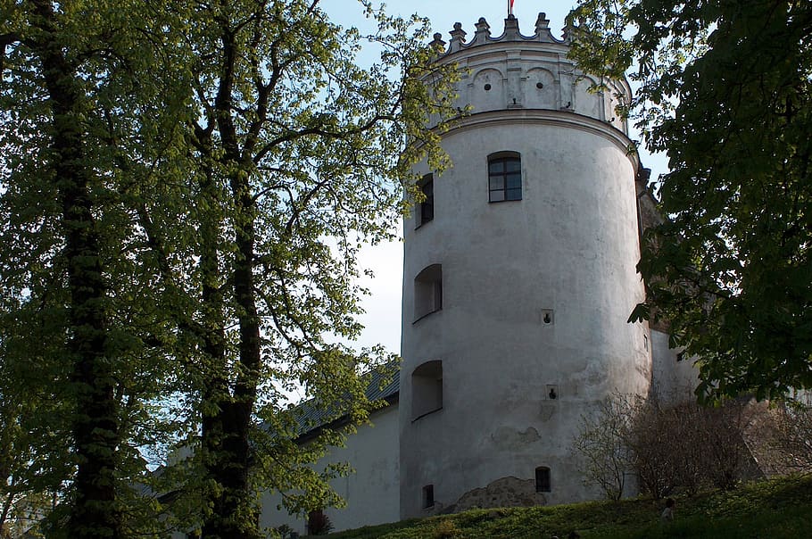 think, castle, old, history, the middle ages, building, tree HD wallpaper