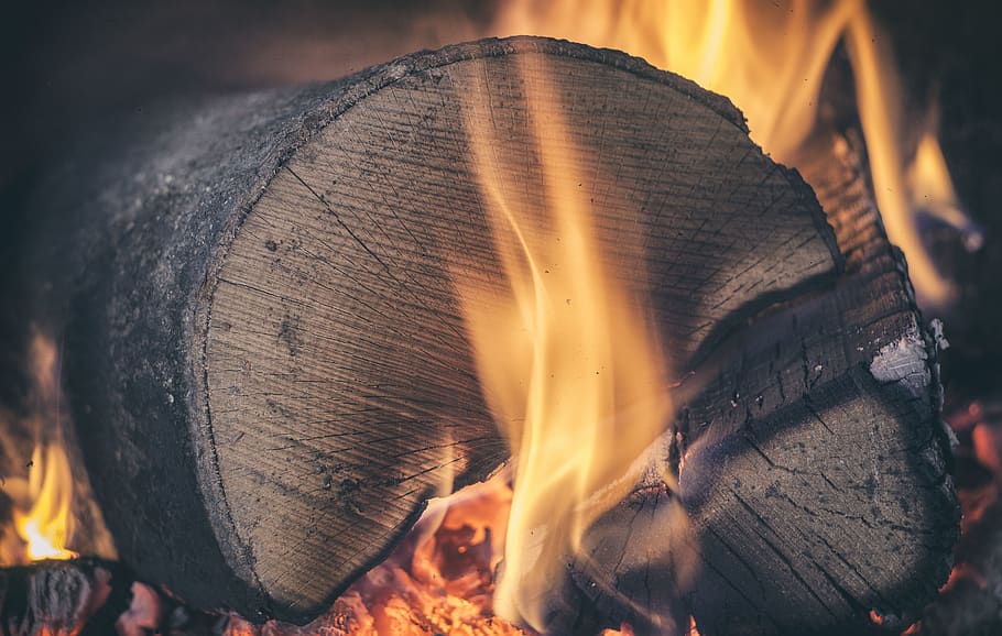 Burning Wood, ash, burnt, close-up, coal, dark, fire, fireplace HD wallpaper