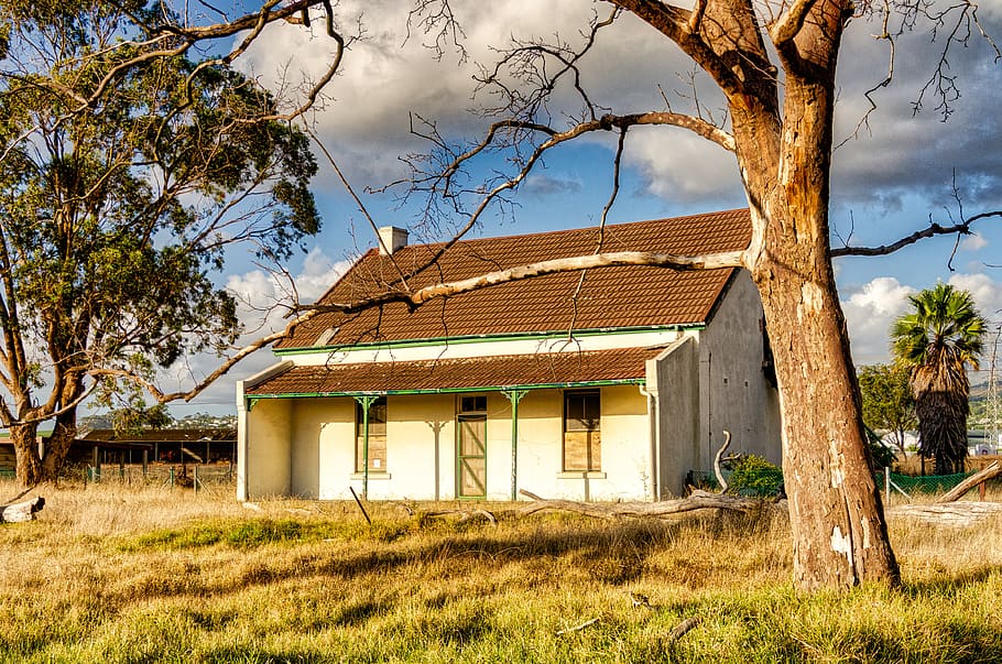 house, farmhouse, trees, rustic, architecture, building, nature HD wallpaper