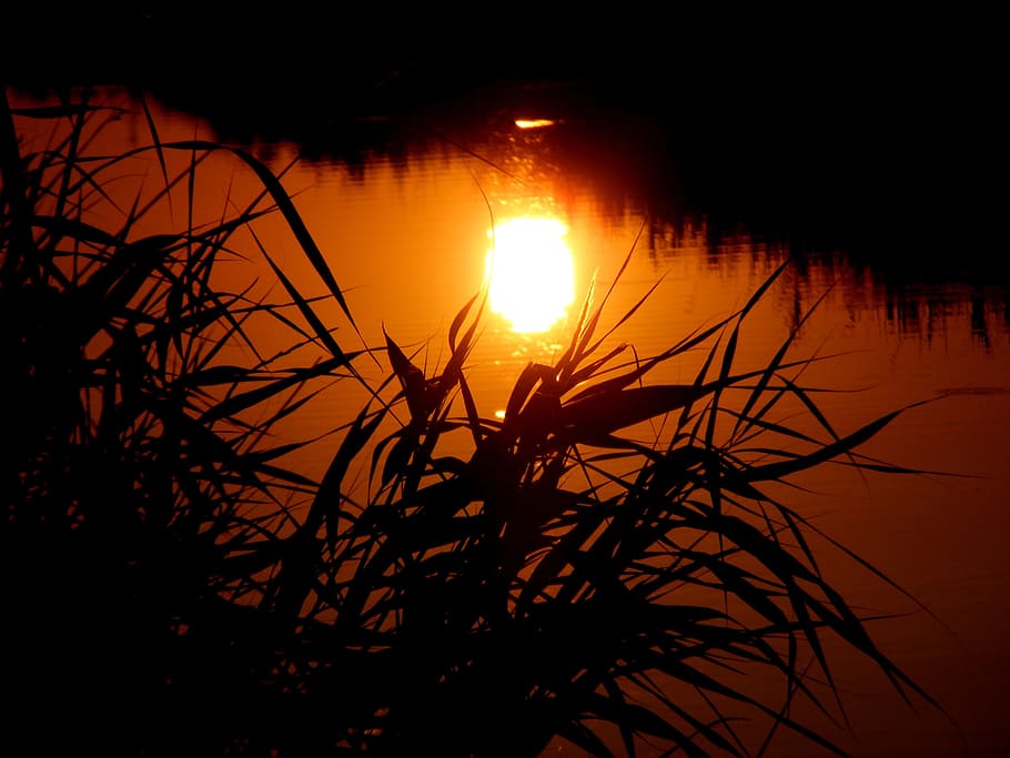 reflection, sun, sunny, water, river, sunset, nature, dark HD wallpaper