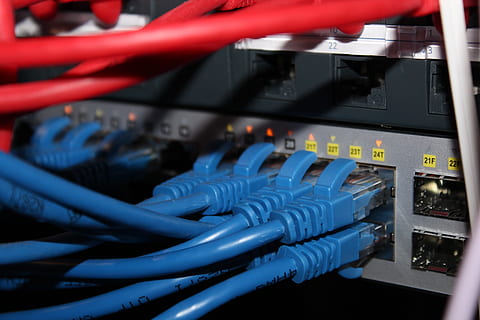 patch panel, cat 6, patch lead, red, blue, comms rack, network HD wallpaper
