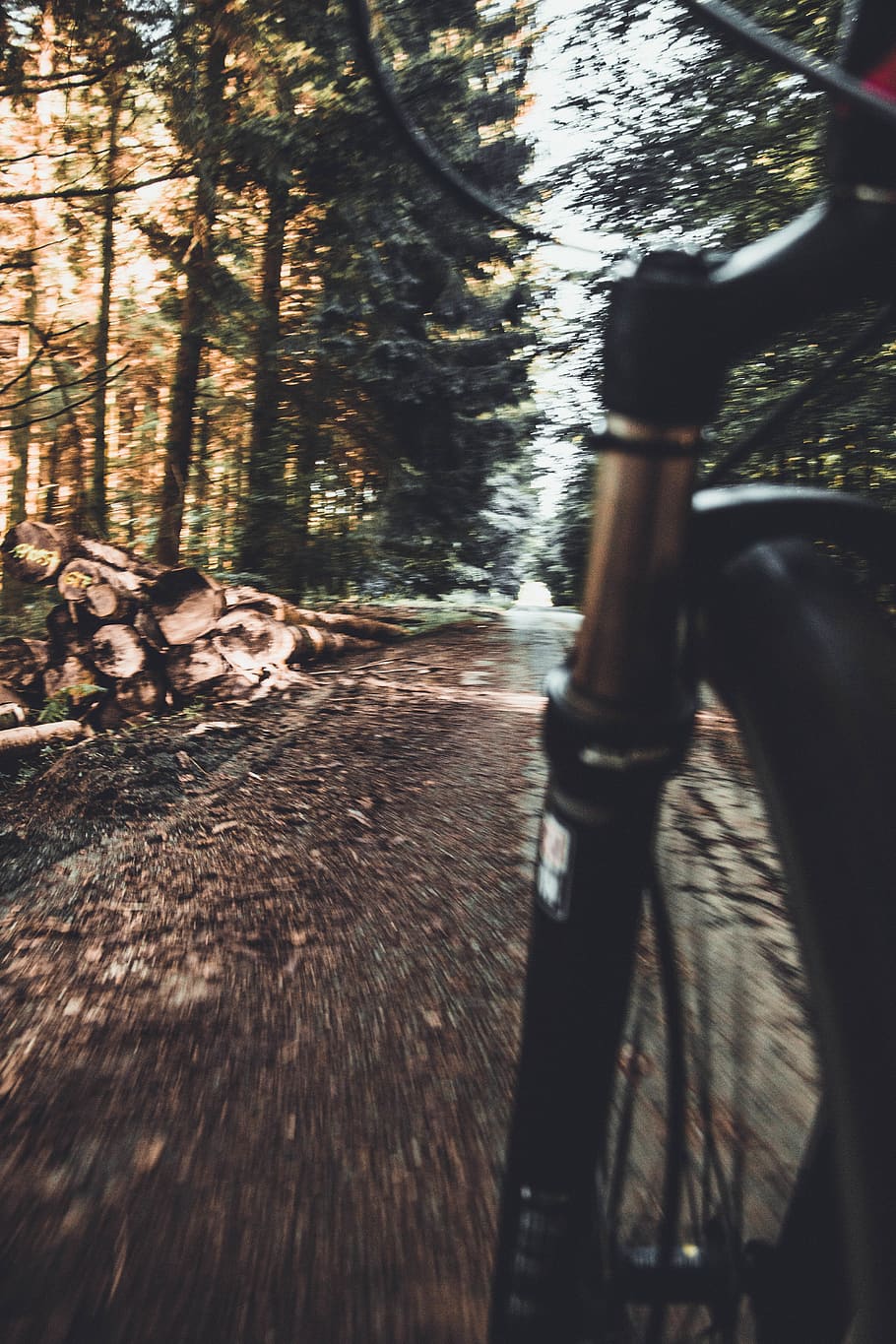belgium, rulles, forêt de rulles, forest, bike, rock, foret, HD wallpaper
