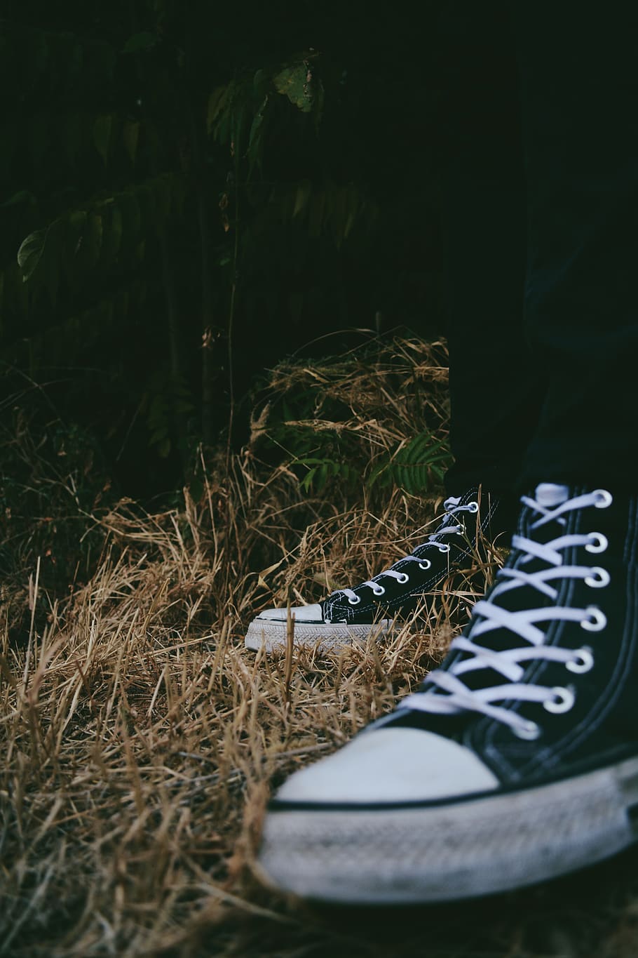 greece, kilkis, shoe, plant, nature, no people, growth, day HD wallpaper