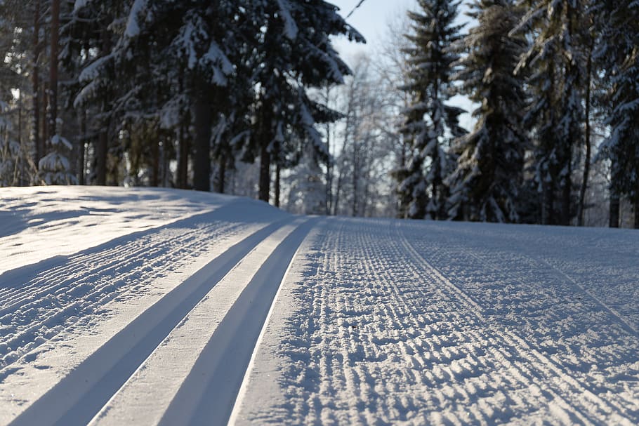 snow, wood, winter, tree, season, ski, white, nature, cold HD wallpaper