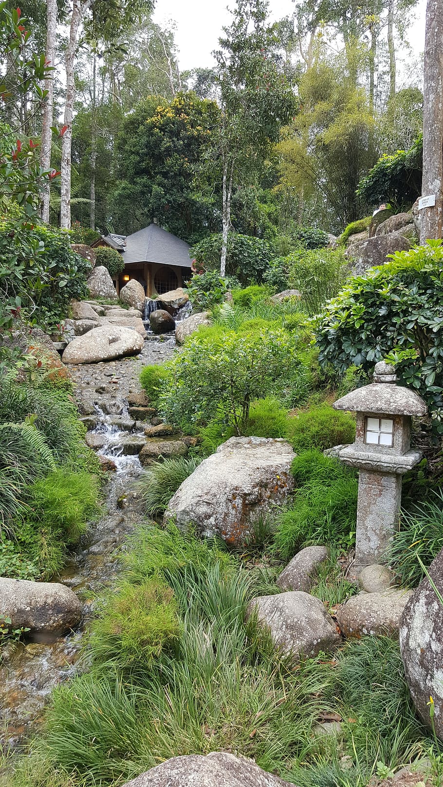 malaysia, bentong, bukit tinggi, flowing water, garden, japanese, HD wallpaper