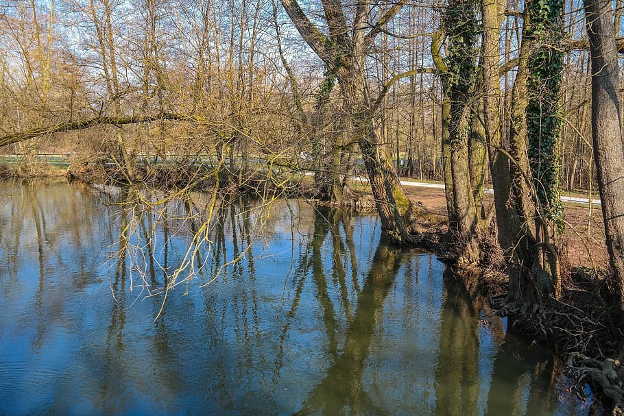 bach, river, bank, trees, mirroring, spring, nature, kahl, water HD wallpaper