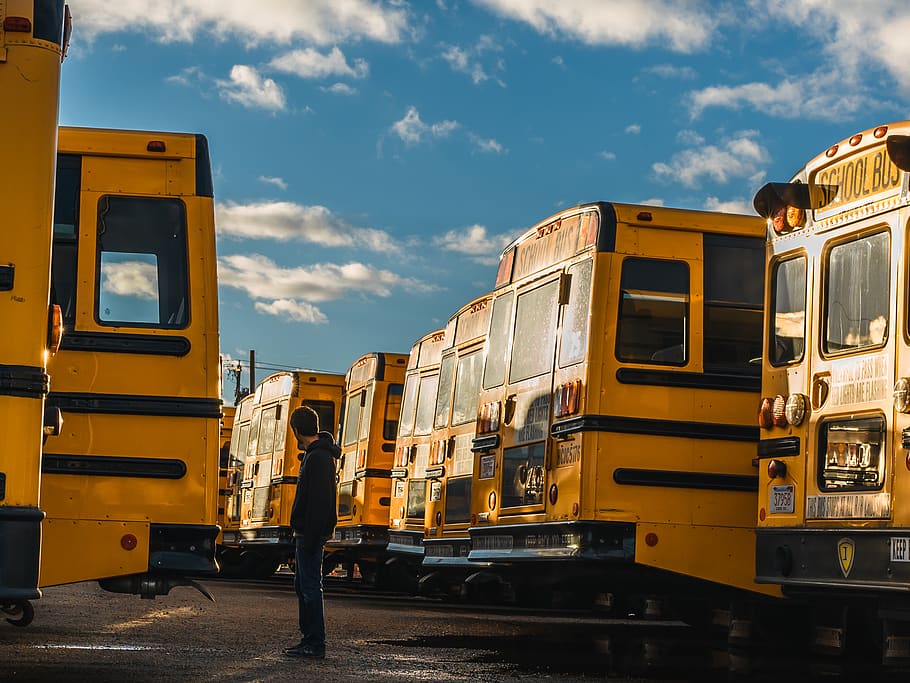 man standing between yellow bus during daytime, person, human HD wallpaper