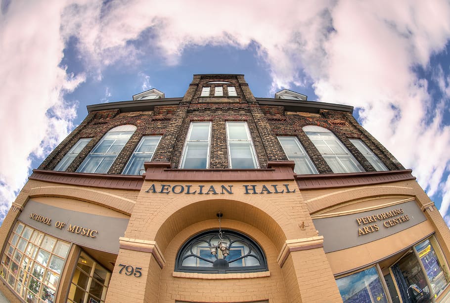 brown Aeolian Hall building, architecture, tower, dome, window, HD wallpaper