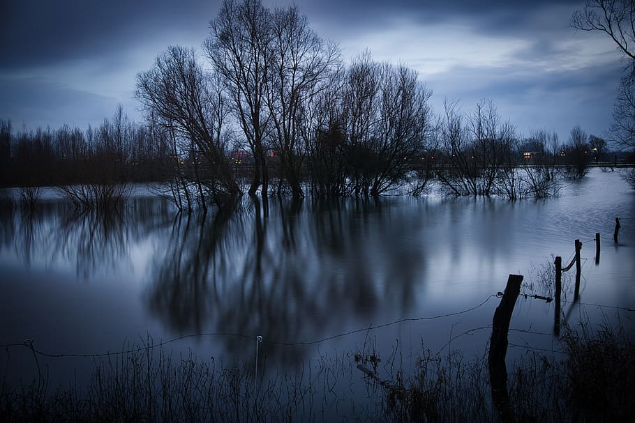water, trees, reflection, nature, tranquility, scenics - nature HD wallpaper