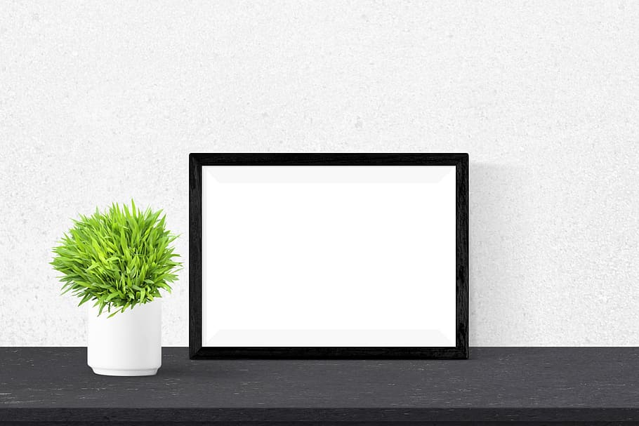 poster, frame, plant, desk, copy space, white color, blank HD wallpaper