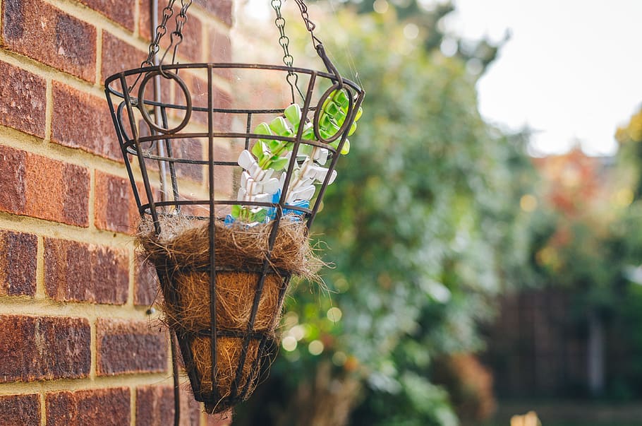 garden, backyard, trees, scenery, basket, focus on foreground HD wallpaper