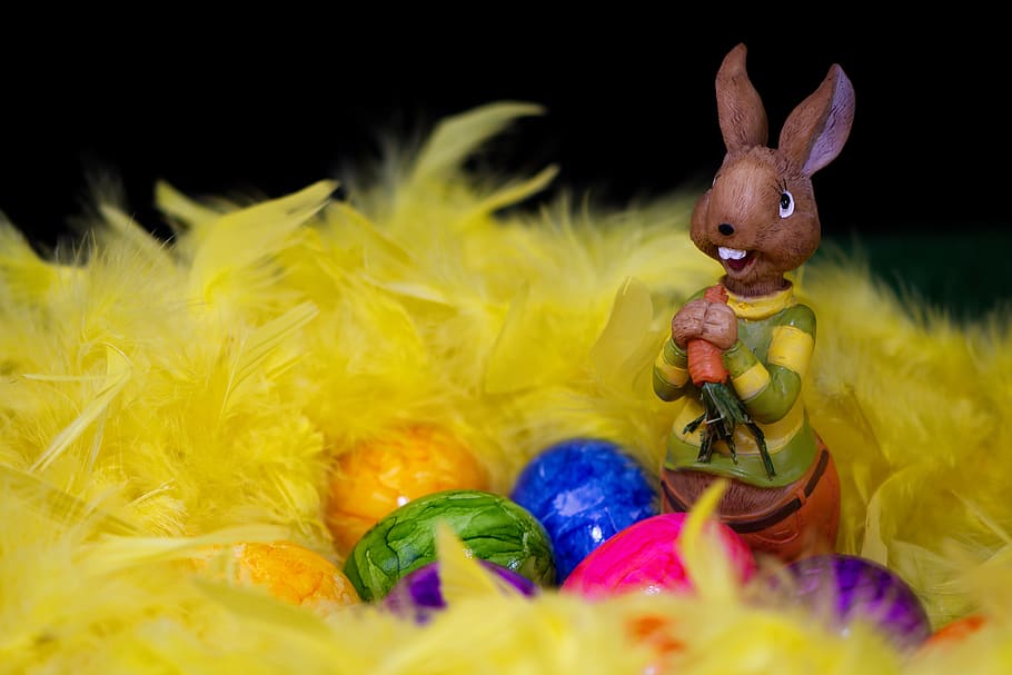 easter bunny, easter eggs, greeting card, feather, festival HD wallpaper