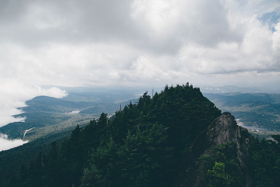 forest, jungle, mountain, mountains, mountaineer, mountaineering HD wallpaper