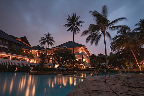 Palm Trees at Night, architecture, beach, building, coconut trees HD wallpaper