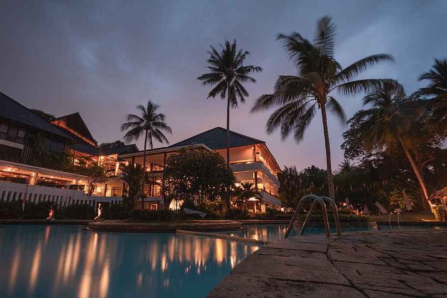 Palm Trees at Night, architecture, beach, building, coconut trees HD wallpaper