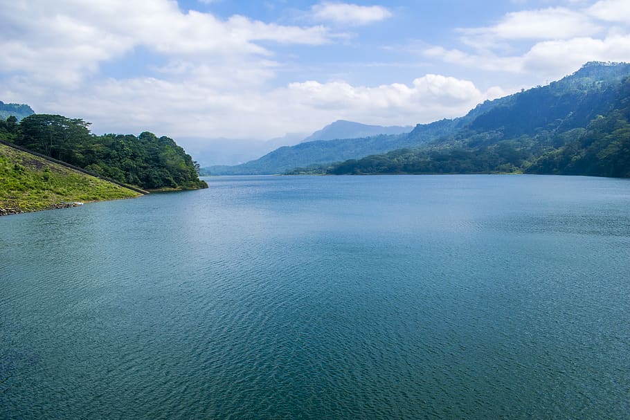 Body of Water Surrounded by Three Trees, clouds, daylight, forest HD wallpaper