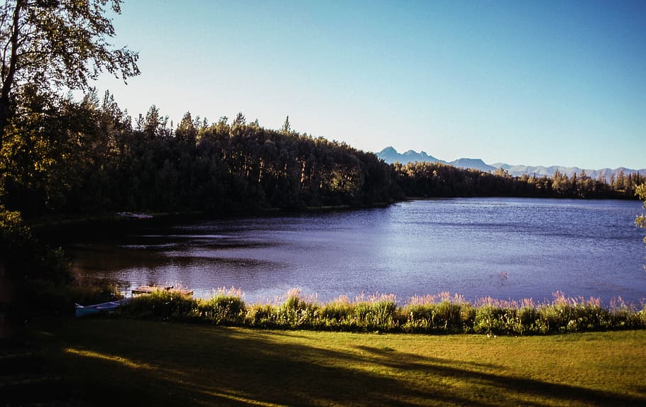 trees, lake, forest, mountain, mountain range, sky, water, tranquil scene HD wallpaper