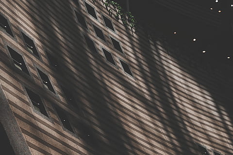 brown concrete building, taiwan, 京華城, urban, stripe, architecture HD wallpaper