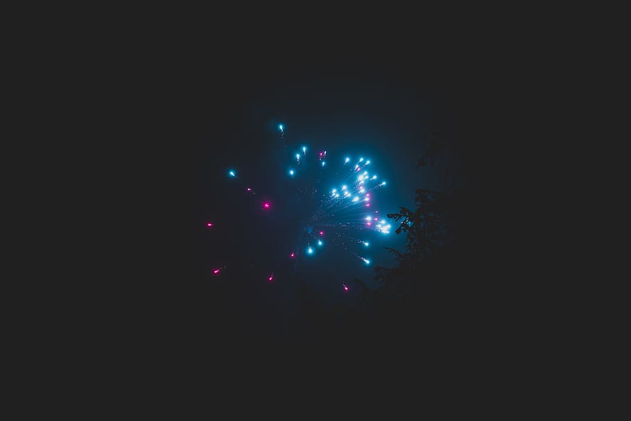 germany, karlsruhe, firework, dark, tree, red, blue, outside HD wallpaper
