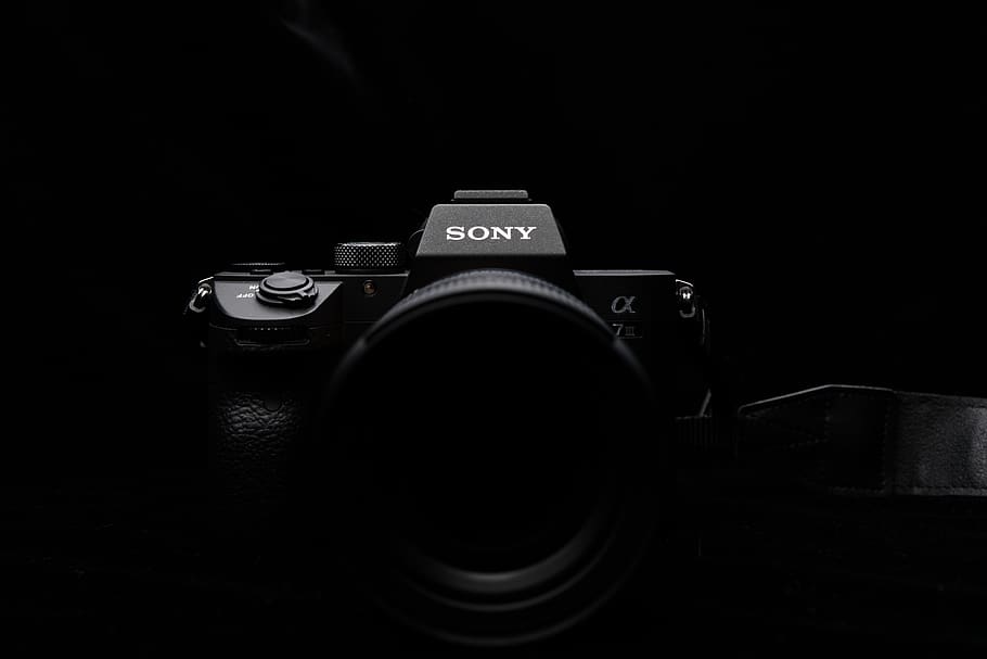 Choosing your Sony Alpha Camera - Scene