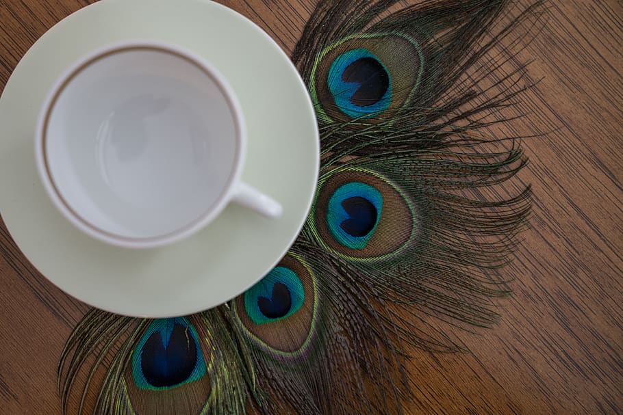 teacup, teatime, feathers, peacock, texture, background, pattern HD wallpaper