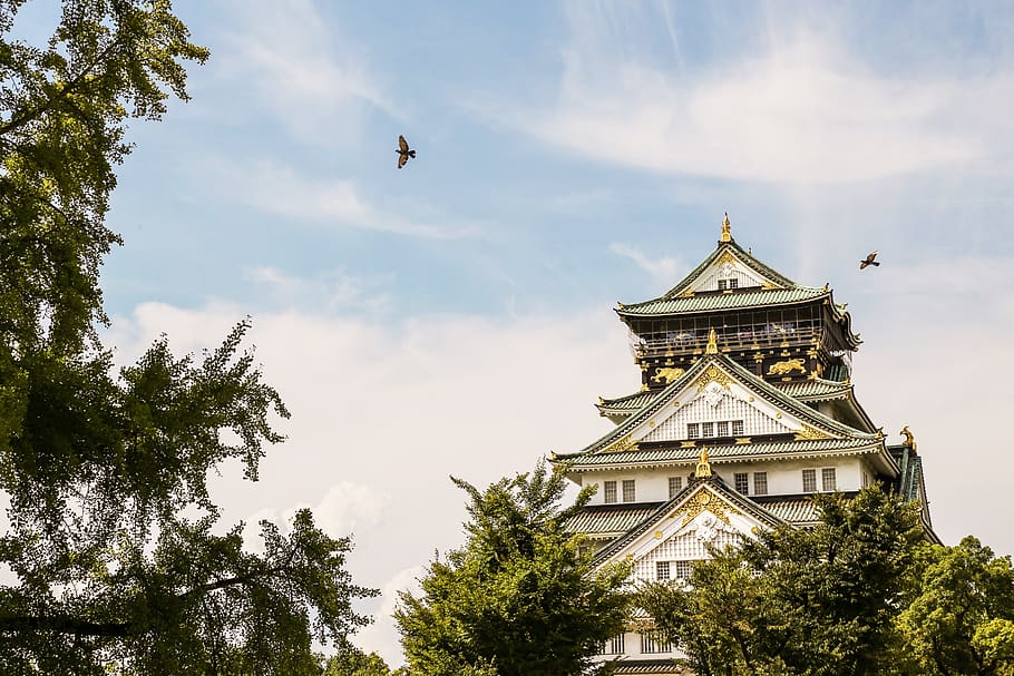 sky, built structure, tree, architecture, building exterior HD wallpaper