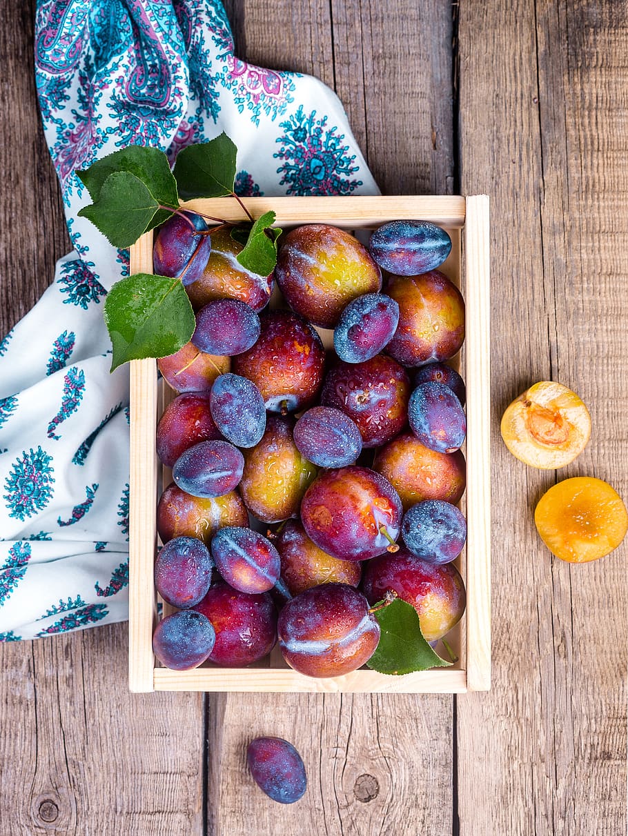 Full Frame Shot of Fruits and Tree, bright, close-up, color, confection HD wallpaper