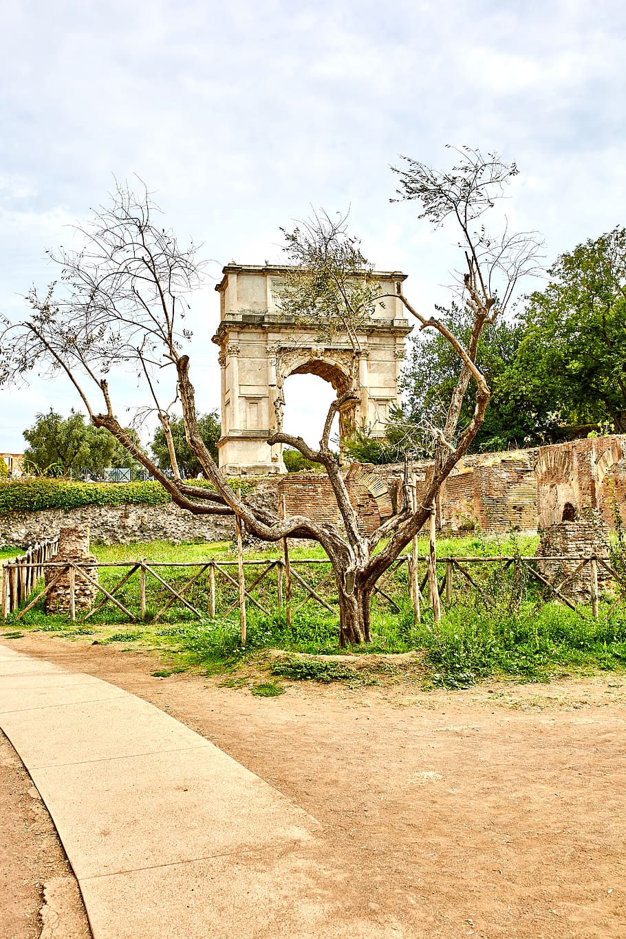 tree, ancient, italy, rome, architecture, plant, built structure HD wallpaper