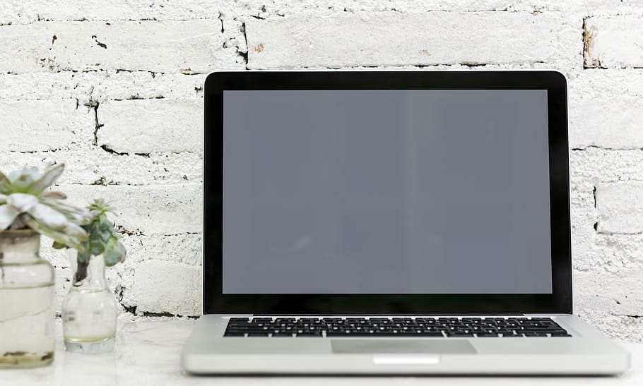 Laptop Computer , device, electronics, keyboard, plant, screen HD wallpaper