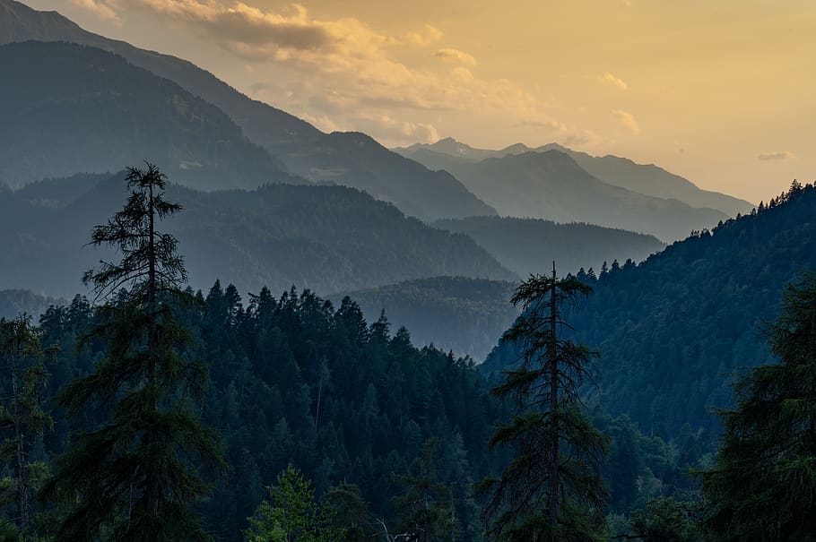 mountains, trees, nature, landscape, forest, scenic, valley HD wallpaper