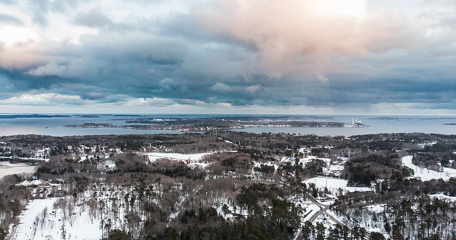 trees, drone, forest, lake, cloud - sky, nature, water, no people HD wallpaper