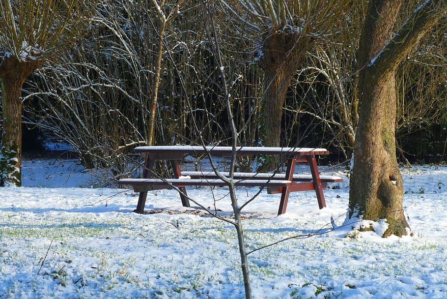 bench, forest, snow, winter, cold, landscape, nature, trees HD wallpaper