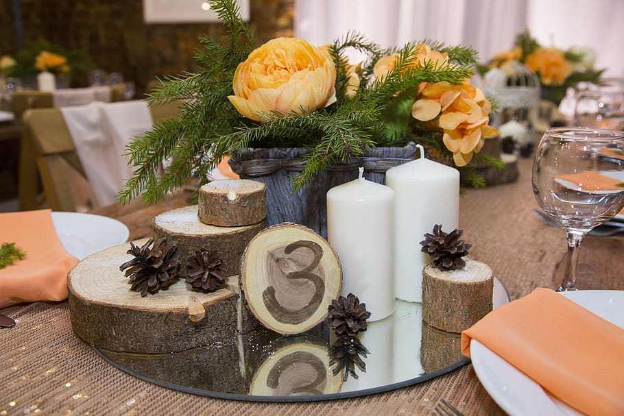 table, three, the scenery, celebration, stump, spruce, flowers HD wallpaper