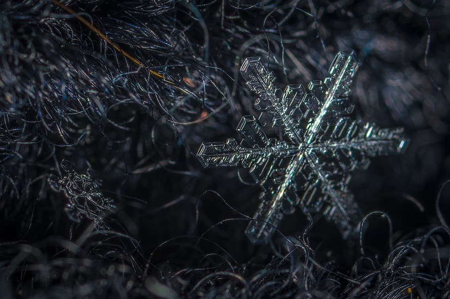 snowflake, macro, wool, plant, nature, close-up, day, no people HD wallpaper