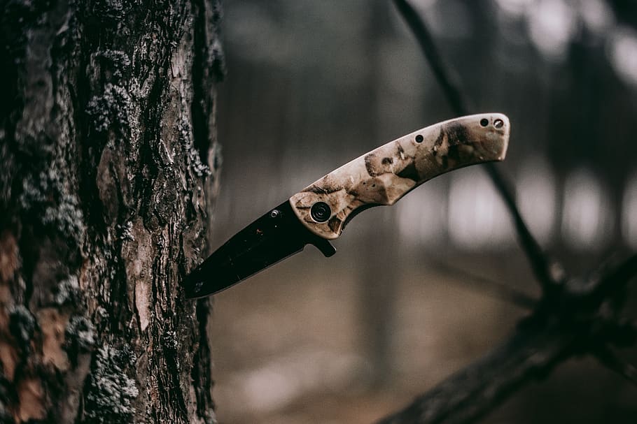 brown handle knife, tree trunk, focus on foreground, close-up HD wallpaper