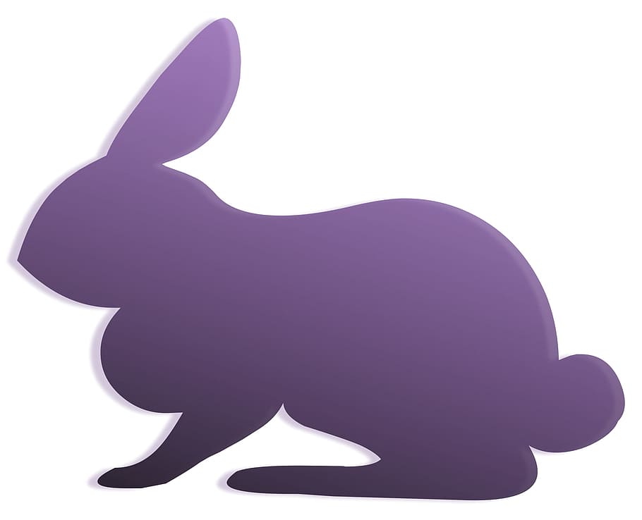 pink, rabbit, animal, graphics, white background, studio shot HD wallpaper