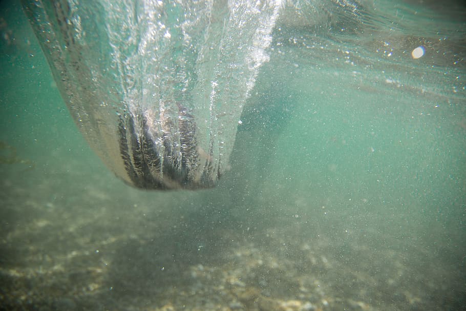 underwater, rock, action, bubbles, sea, nature, ocean, animal themes HD wallpaper