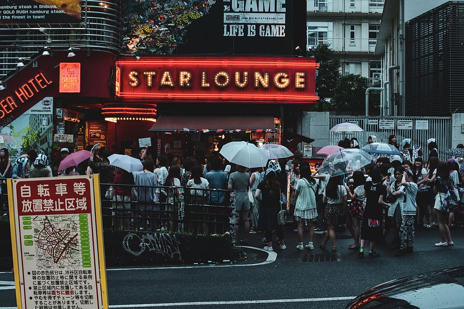 Star Lounge signage, people, person, human, umbrella, shibuya HD wallpaper