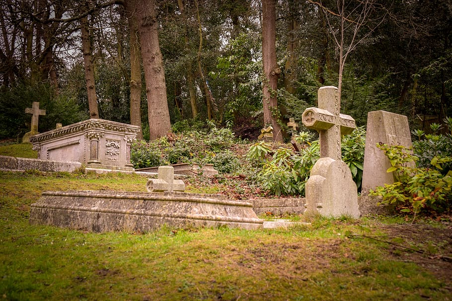 cemetery, old, cross, stone, graves, tombstone, graveyard, tree HD wallpaper