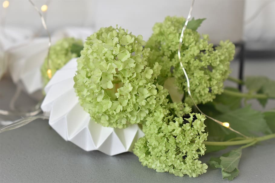 decoration, table decorations, candle, flowers, floral decorations HD wallpaper