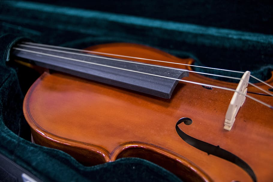 violin, musical instruments, string, string instrument, arts culture and entertainment HD wallpaper