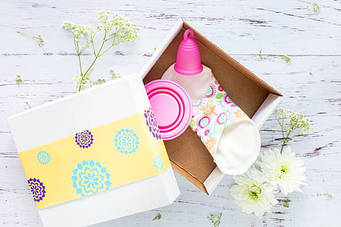 Pink Menstrual Cup in Box, bright, cloth, design, environmentally friendly HD wallpaper