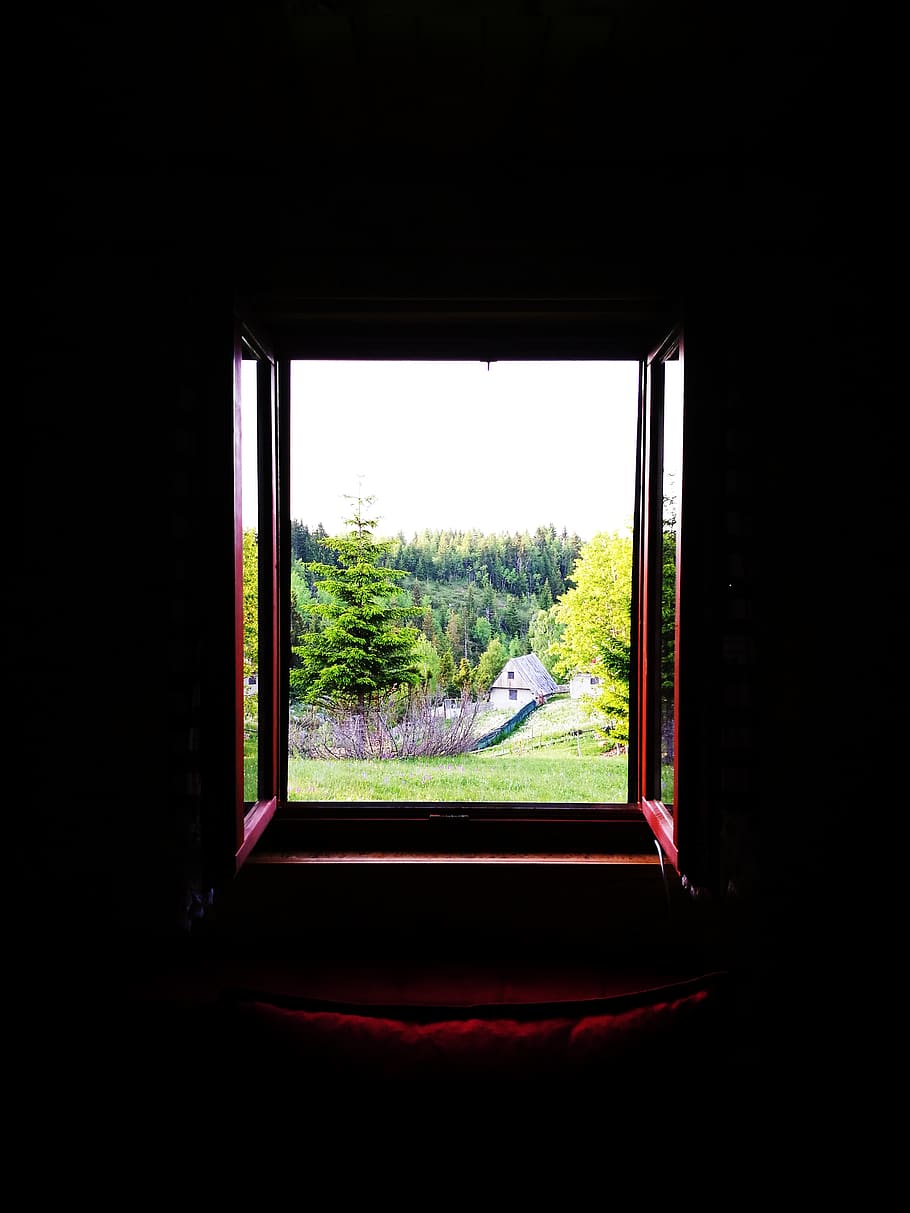 trees, montains, forest, window, light, dark, room, glass - material HD wallpaper