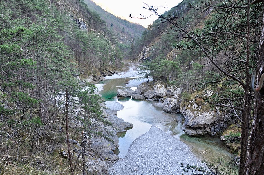 torrent, sassi, rocks, water, mountain, trees, beauty in nature HD wallpaper