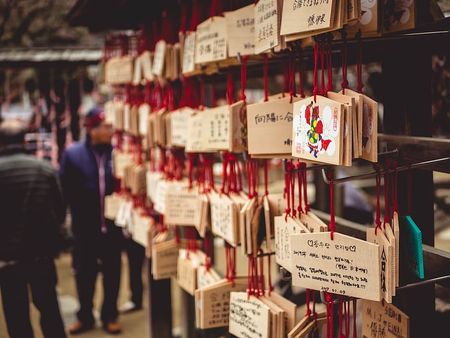 brown cards, person, human, shelf, japan, religon, wishes, luck HD wallpaper