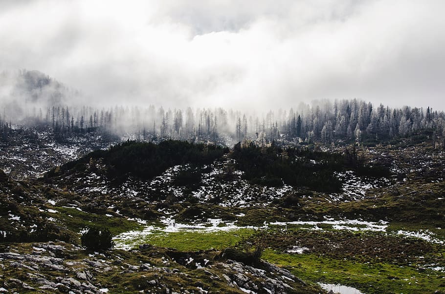 landscape, tree, nature, forest, wilderness, mountain, snow HD wallpaper